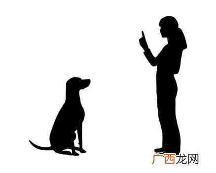 怎么训练狗狗听懂你的话 宠物狗的训练方法