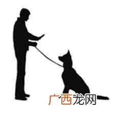 怎么训练狗狗听懂你的话 宠物狗的训练方法