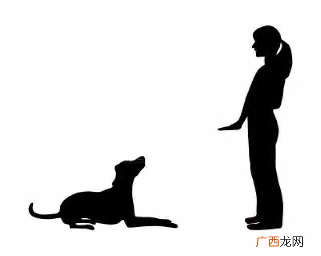 怎么训练狗狗听懂你的话 宠物狗的训练方法