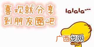 新手训练泰迪狗狗技巧 泰迪狗狗怎么训练