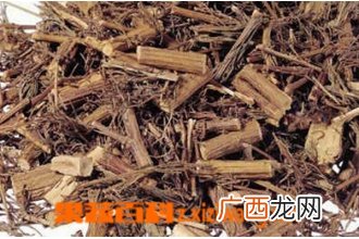 六月雪的功效与作用 六月雪的药用价值