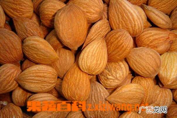 苦杏仁怎么吃正确 杏仁怎么吃才安全