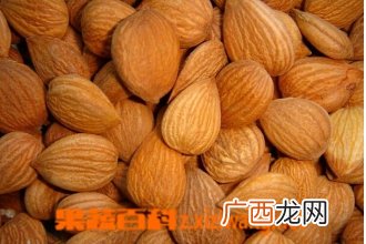 苦杏仁怎么吃正确 杏仁怎么吃才安全
