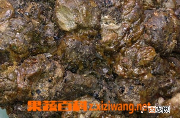 蜂胶的副作用 蜂胶的食用禁忌