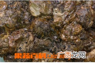 蜂胶的副作用 蜂胶的食用禁忌