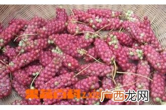 五味子的功效与作用 五味子的药用价值