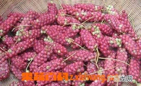 五味子的功效与作用 五味子的药用价值
