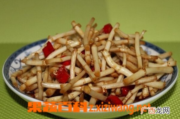 鱼腥草怎么吃 鱼腥草如何吃最养肺