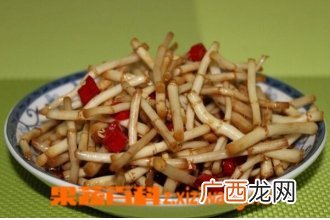 鱼腥草怎么吃 鱼腥草如何吃最养肺