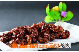 金蝉的营养价值及功效