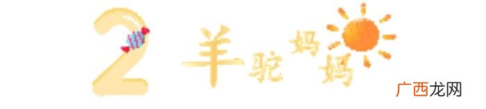 结婚纪念日送什么礼物，妻子把验孕棒当结婚纪念日礼物
