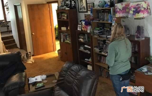 如何训练狗狗坐下等待 怎么训练让狗狗坐下