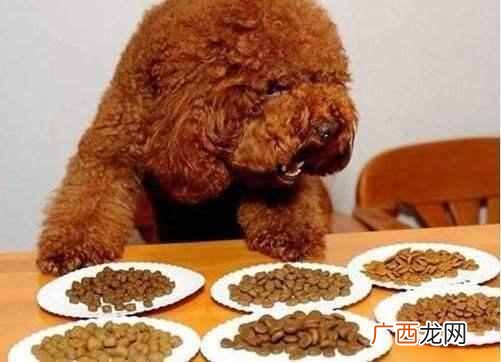 狗狗食欲不振是什么原因（狗狗食欲不振是生病