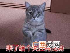 被狗狗咬了多久时间内必须打针（被狗狗咬到后