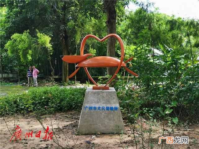 广州狗狗领养地址在哪（广州哪里可以免费领养