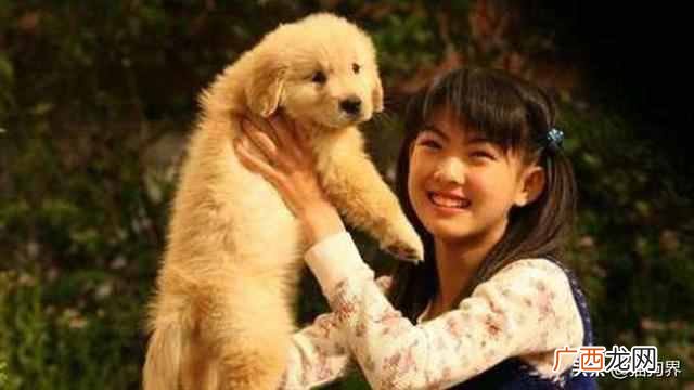 我和狗狗的10个约定电影好看吗（我和狗狗的10个
