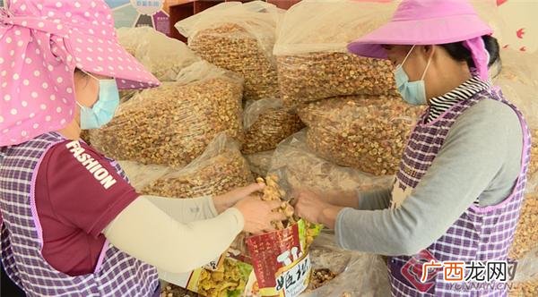 富民兴村,创业村