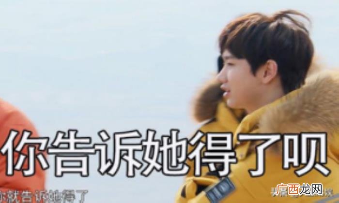 东北搞笑男明星盘点 东北明星名单