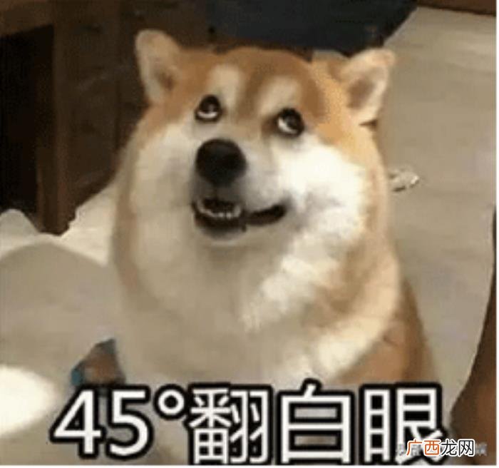 东北搞笑男明星盘点 东北明星名单