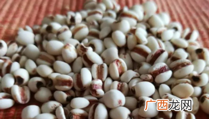 薏米洗过再炒还是炒过再洗