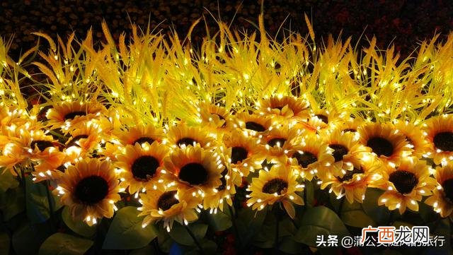 西安创业咖啡街区图片 创业咖啡街区要门票不