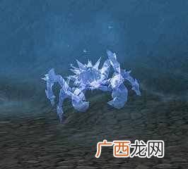 揭晓灰熊丘陵灵兽刷新时间 灰熊丘陵灵兽多久刷新一次