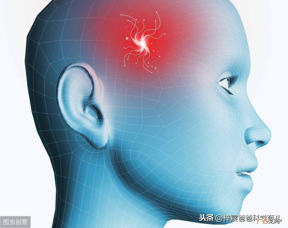 婴儿吃dha品牌推荐 适合婴儿dha什么牌子好