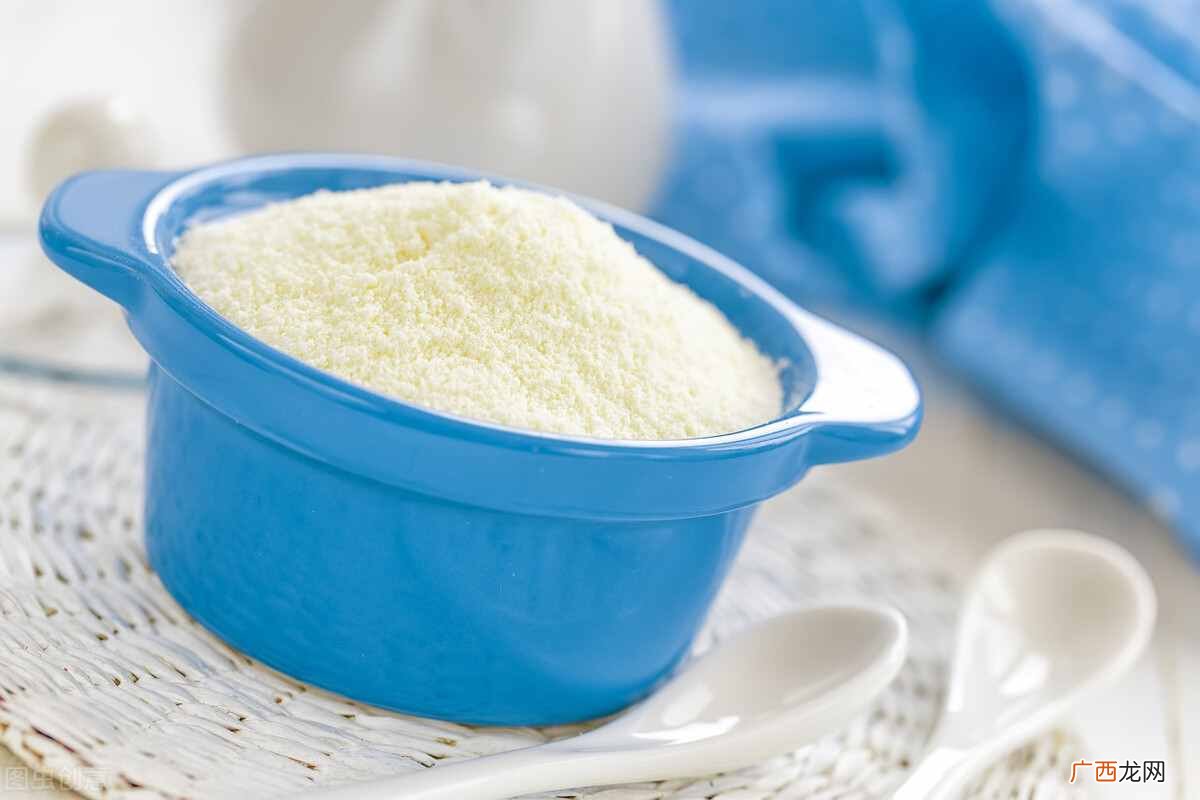 鹦鹉能吃的食物介绍 鹦鹉吃什么食物最好