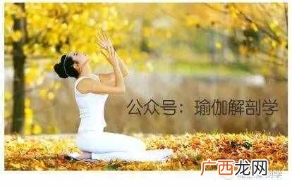 练瑜伽有什么作用 女人练瑜伽的好处及作用