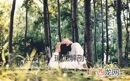 练瑜伽有什么作用 女人练瑜伽的好处及作用