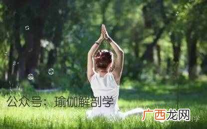 练瑜伽有什么作用 女人练瑜伽的好处及作用