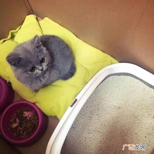 美白用什么产品好？5款真正美白的产品