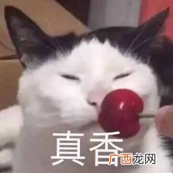 美白用什么产品好？5款真正美白的产品