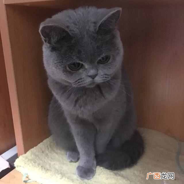 美白用什么产品好？5款真正美白的产品