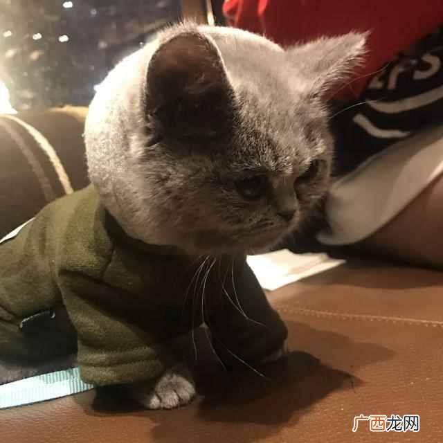 美白用什么产品好？5款真正美白的产品