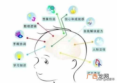 人大脑右脑控制什么？右脑及左脑的功能