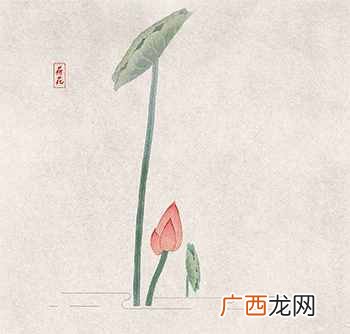小说的文学评论怎么写？学术性文学评论写作技