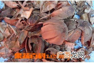 中药实葫芦的功效与作用