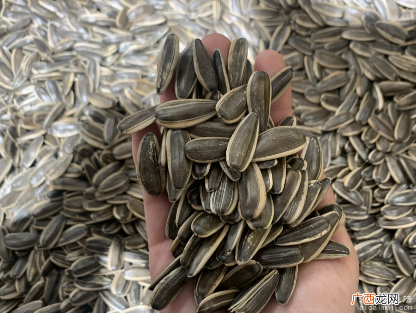 十大高蛋白食物排行榜，最高50%含蛋白质的食物