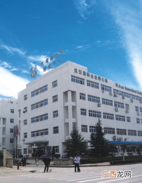 光谷创业街附近半小时的房子,sbi创业街房子为啥便宜