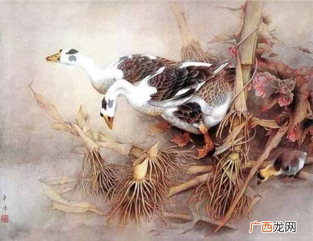 运气不好怎么转运？转运20个技巧，宁可信其有