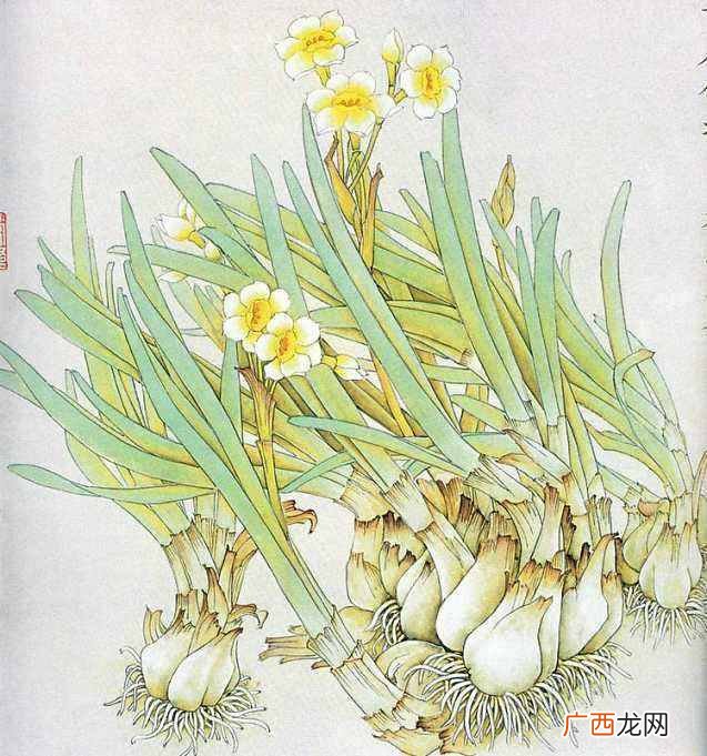 运气不好怎么转运？转运20个技巧，宁可信其有