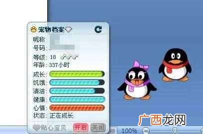 怎么把qq宠物弄死？现在却没有机会了，太遗憾了