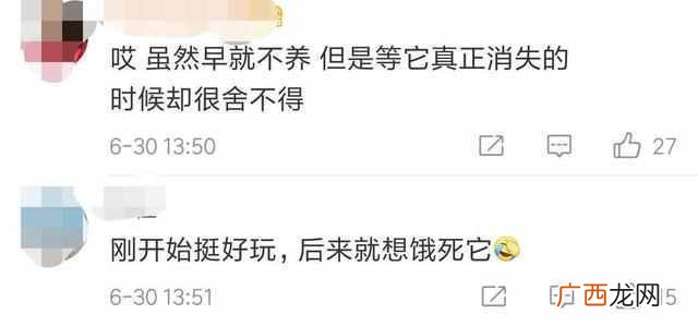 怎么把qq宠物弄死？现在却没有机会了，太遗憾了