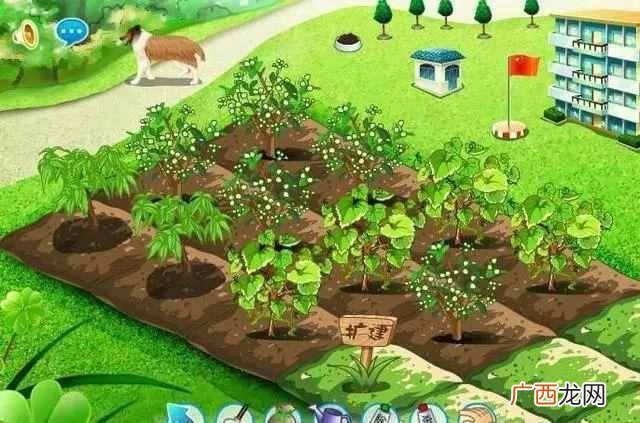 怎么把qq宠物弄死？现在却没有机会了，太遗憾了