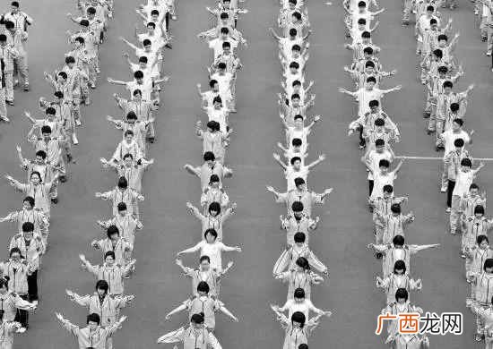 怎么把qq宠物弄死？现在却没有机会了，太遗憾了