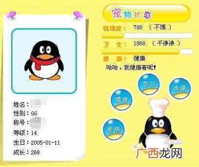 怎么把qq宠物弄死？现在却没有机会了，太遗憾了