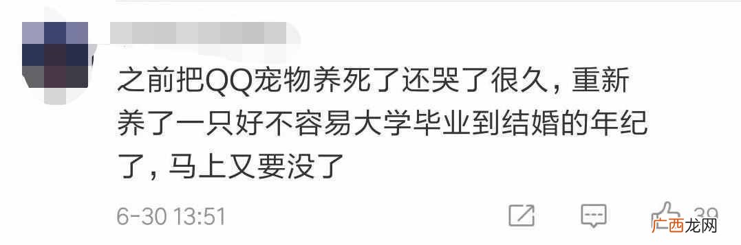 怎么把qq宠物弄死？现在却没有机会了，太遗憾了