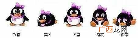怎么把qq宠物弄死？现在却没有机会了，太遗憾了