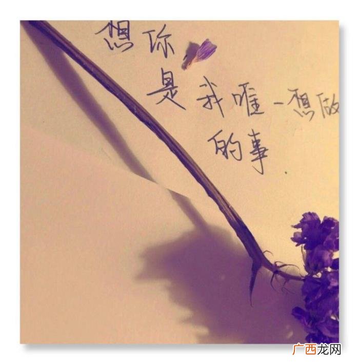 QQ空间情话留言短句 qq爱情留言